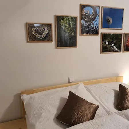 Penzion A Restaurace U Sousedů 3*