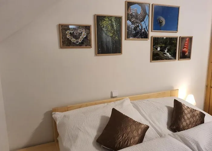 Gæstehus A Restaurace U Sousedu 3*
